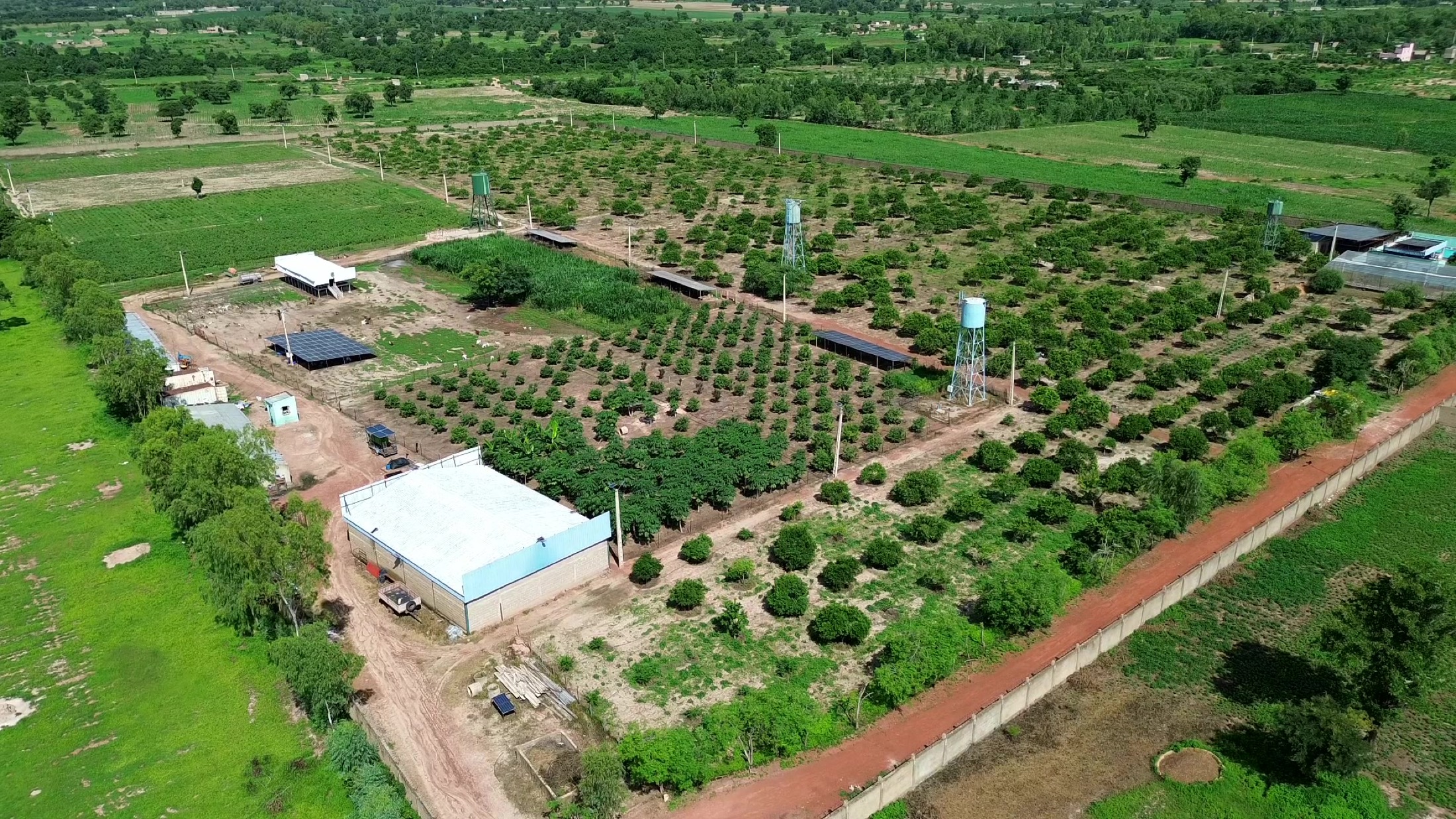 Vue aérienne des exploitations partenaires à Sanankoroba