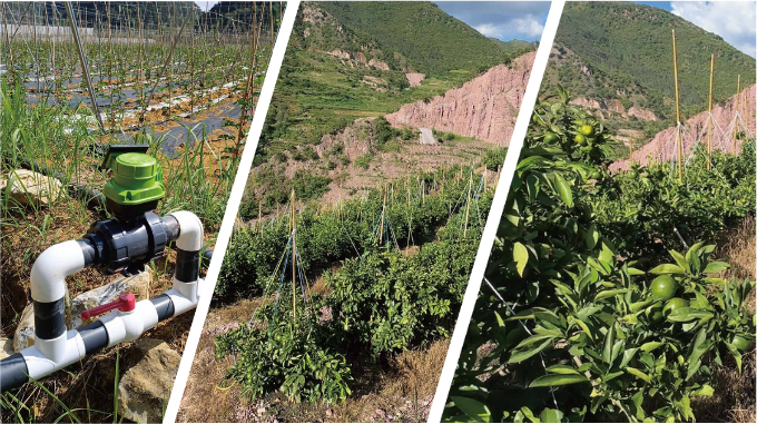 Photo terrain INEEMA 15