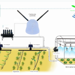 🌿 Ineema : L’irrigation intelligente solaire 4G qui transforme l’agriculture familiale